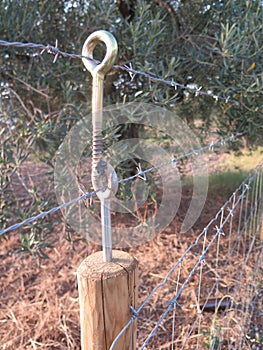 Eyebolt barbed wire support