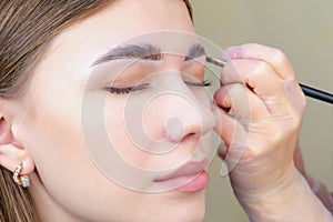 Eyebrow coloring. Woman applying brow tint with makeup brush closeup photo