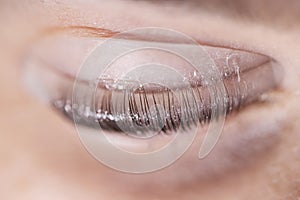 Eyebrow and eyelash care procedure in a beauty salon, close-up