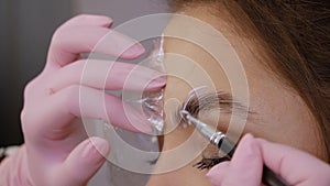 Eyebrow lamination procedure