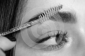 Eyebrow makeup. Macro close up of brows. Beauty model shaping brows with brow pencil closeup. Beautiful woman contouring