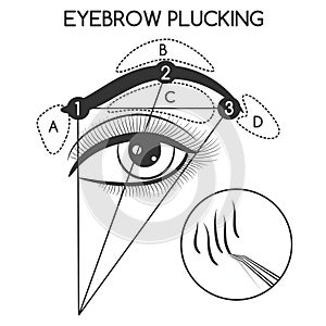 Eyebrow plucking concept