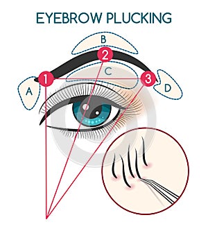 Eyebrow plucking illustration