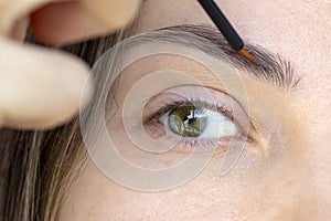 Eyebrow Serum for Women. An open-eyed girl applying a serum with essential oils and peptides to her eyebrows for strong