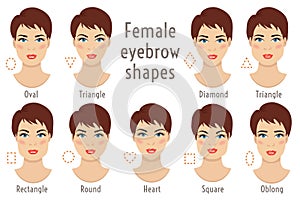 Eyebrow shapes suitable to different woman type face. Vector ill