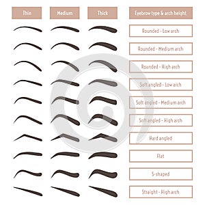 Eyebrow shapes. Various brow types. Vector table with eyebrows and captions.