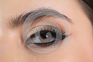 Eyebrow shaping. Close up of woman getting eyebrow make-up. Macro of combing eyebrows. Perfect shape of eyebrow, brown