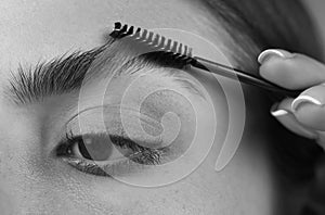 Eyebrow shaping. Close up of woman getting eyebrow make-up. Macro of combing eyebrows. Perfect shape of eyebrow, brown