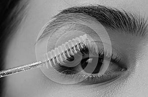 Eyebrow shaping. Close up of woman getting eyebrow make-up. Macro of combing eyebrows. Perfect shape of eyebrow, brown