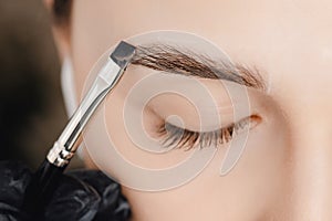 Correction and tint of eyebrows, master applies brush to woman marking on brow photo