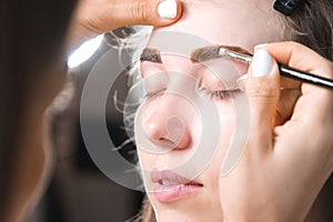 Eyebrow tinting. Close-up of a master applying eyebrow dye with a brush. Cosmetic procedures, permanent eyebrow makeup