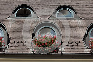 Eyebrow windows in Hungary