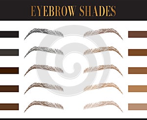 Eyebrows Colors Chart. Elegant Fashion Make Up Illustration