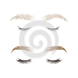 Eyebrows desing and eyelashes extension.