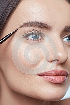 Eyebrows Makeup. Woman Shaping Brows With Cosmetic Brush. Beautiful Girl Close Up Portrait. Female With Perfect Skin.