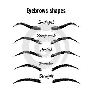 Eyebrows shapes vector set