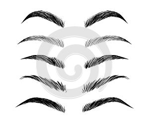 Eyebrows Vector Set. Beauty Collection Female Woman Girl Brows Different Form and Types.