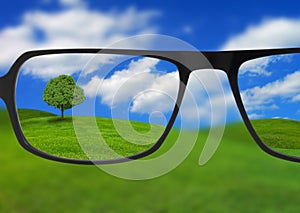 Eyeglasses clarifying vision