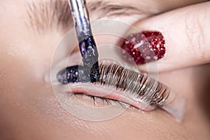 Eyelash coloring, beauty master applies paint to eyelashes with a brush, close-up