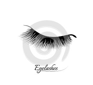 Eyelash extension. Beautiful black long eyelashes. Closed eye . False beauty cilia. Mascara natural effect. Professional