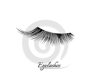 Eyelash extension. Beautiful black long eyelashes. Closed eye . False beauty cilia. Mascara natural effect. Professional