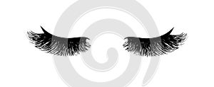 Eyelash extension. Beautiful black long eyelashes. Closed eye . False beauty cilia. Mascara natural effect. Professional glamor