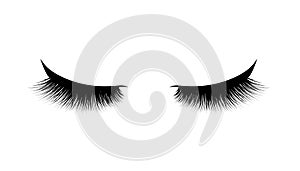 Eyelash extension. Beautiful black long eyelashes. Closed eye . False beauty cilia. Mascara natural effect. Professional glamor ma