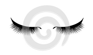 Eyelash extension. Beautiful black long eyelashes. Closed eye . False beauty cilia. Mascara natural effect. Professional photo