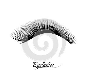 Eyelash extension. Beautiful black long eyelashes. False beauty cilia. Mascara natural effect. Professional glamor