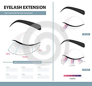 Eyelash extension guide. Density of eyelash extension for great look. Tips and tricks. Infographic vector illustration. Template