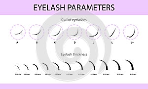 Eyelash Extension Guide. Direction schemes. Tips and tricks for eyelash extension. Infographic vector illustration.