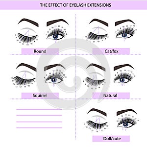 Eyelash Extension Guide. Direction schemes. Tips and tricks for eyelash extension. Infographic vector illustration.