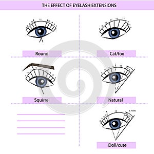 Eyelash Extension Guide. Direction schemes. Tips and tricks for eyelash extension. Infographic vector illustration