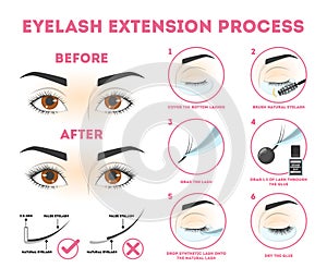 Eyelash extension guide for woman. Infographic with eyelashes