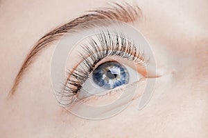 Eyelash extension procedure. Beautiful female eyes with long lashes, closeup