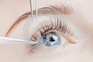 Eyelash extension procedure. Beautiful female eyes with long lashes, closeup