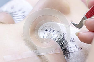 Eyelash extension procedure. Beautiful woman with long eyelashes in a beauty salon.