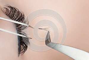 Eyelash extension procedure close up.