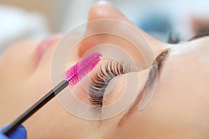 Eyelash extension procedure close up. Beautiful woman with long eyelashes in a beauty salon. Makeup concept