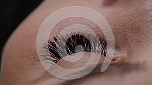 Eyelash Extension Procedure. Close up view of beautiful female eye with long eyelashes.