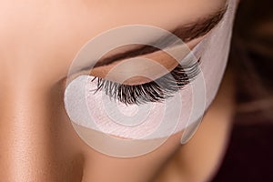 Eyelash Extension Procedure. Close up view of beautiful female eye with long eyelashes, smooth healthy skin.