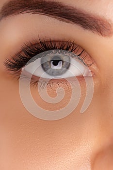 Eyelash Extension Procedure. Close up view of beautiful female eye with long eyelashes, smooth healthy skin.