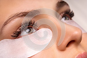 Eyelash Extension Procedure. Close up view of beautiful female eye with long eyelashes, smooth healthy skin.