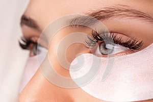 Eyelash Extension Procedure. Close up view of beautiful female eye with long eyelashes, smooth healthy skin.