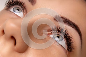 Eyelash Extension Procedure. Close up view of beautiful female eye with long eyelashes, smooth healthy skin.