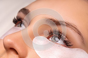 Eyelash Extension Procedure. Close up view of beautiful female eye with long eyelashes, smooth healthy skin.