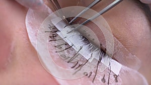 Eyelash extension procedure, close-up of a woman's eye with long eyelashes, macro, beauty saloon