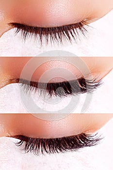 Eyelash Extension Procedure. Comparison of female eyes before and after.