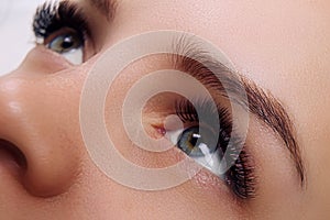 Eyelash Extension Procedure. Woman Eye with Long Blue Eyelashes. Ombre effect. Close up, selective focus.