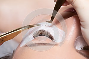 Eyelash Extension Procedure. Woman Eye with Long Eyelashes